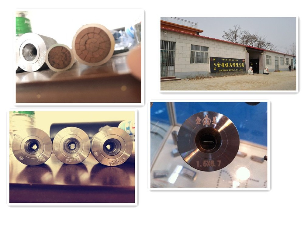 异型导体电缆模具